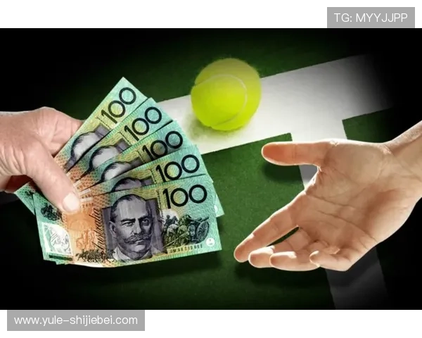 对赌球平台的风险评估与防范措施，保障玩家资金安全的详细攻略