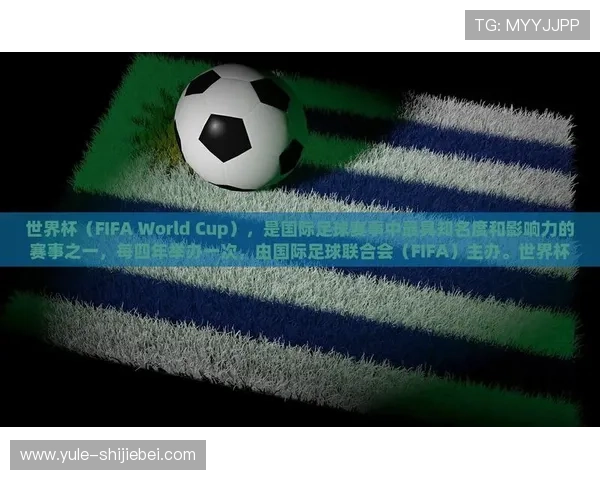 未来足球世界杯举办地预测及历届举办地对比分析与趋势展望